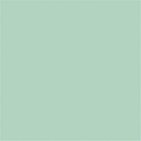 Tru-Color Paint 1 oz Paint, Pale Teal Stucco TCP419